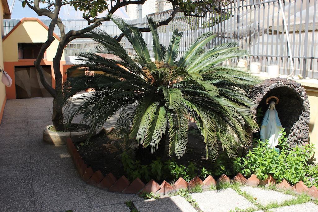 杜玛斯菲丽克斯住宿加早餐旅馆 埃尔科拉诺 外观 照片